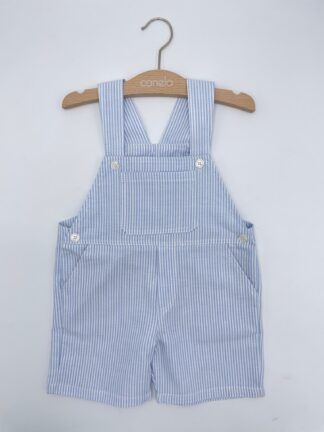 Peto Oscar Oxford raya azul
