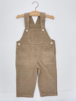 Peto Oscar pana coconut